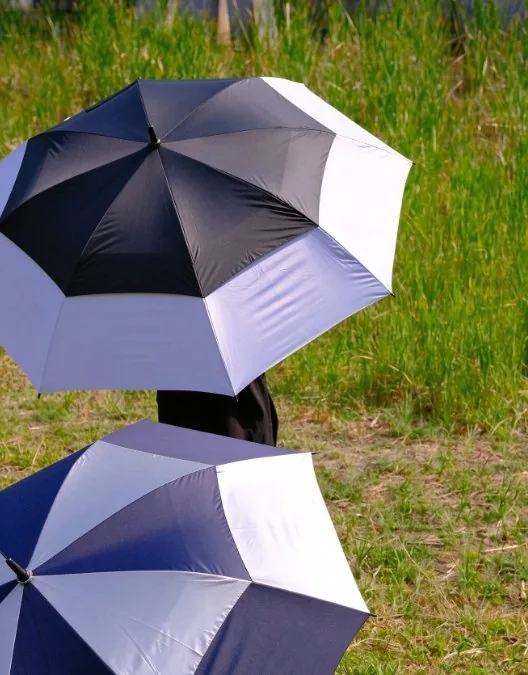 Black and silver golf umbrella canopy panels