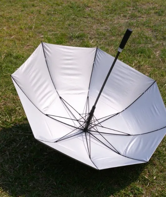 Silver and white canopy with the rib structure visible from underneath